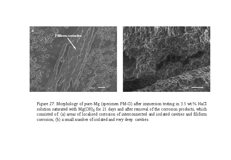 a b Filiform corrosion Figure 27: Morphology of pure-Mg (specimen PM-G) after immersion testing