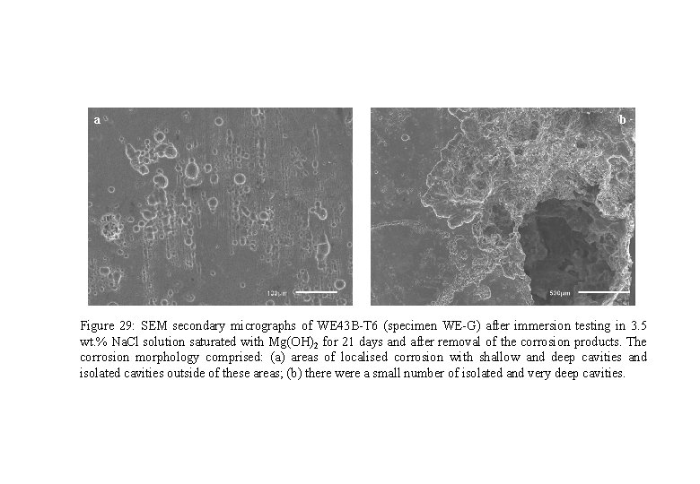 a b Figure 29: SEM secondary micrographs of WE 43 B-T 6 (specimen WE-G)