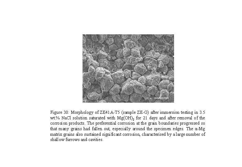 Figure 30: Morphology of ZE 41 A-T 5 (sample ZE-G) after immersion testing in