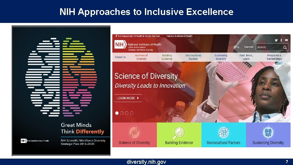 NIH Approaches to Inclusive Excellence diversity. nih. gov www. diversity. nih. gov 7 