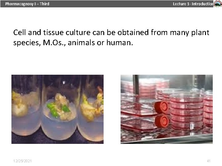 Pharmacognosy I – Third Lecture 1 - Introduction Cell and tissue culture can be