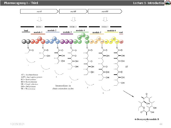 Pharmacognosy I – Third 12/25/2021 Lecture 1 - Introduction 44 