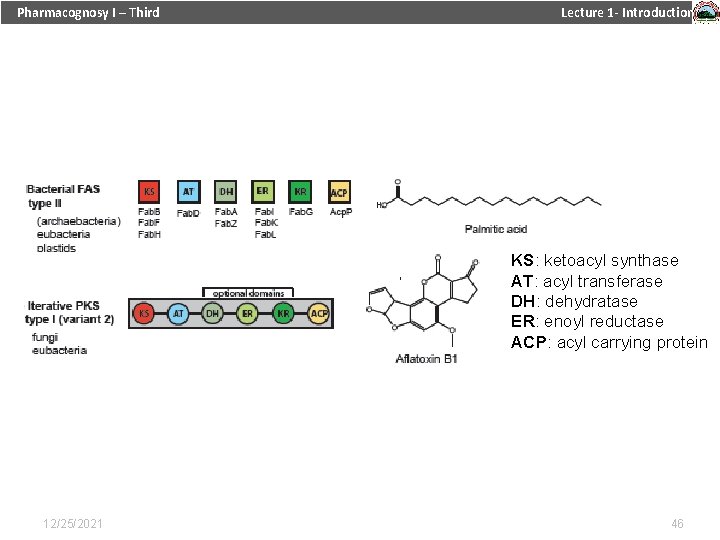 Pharmacognosy I – Third Lecture 1 - Introduction KS: ketoacyl synthase AT: acyl transferase