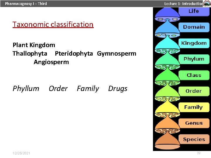 Pharmacognosy I – Third Lecture 1 - Introduction Taxonomic classification Plant Kingdom Thallophyta Pteridophyta