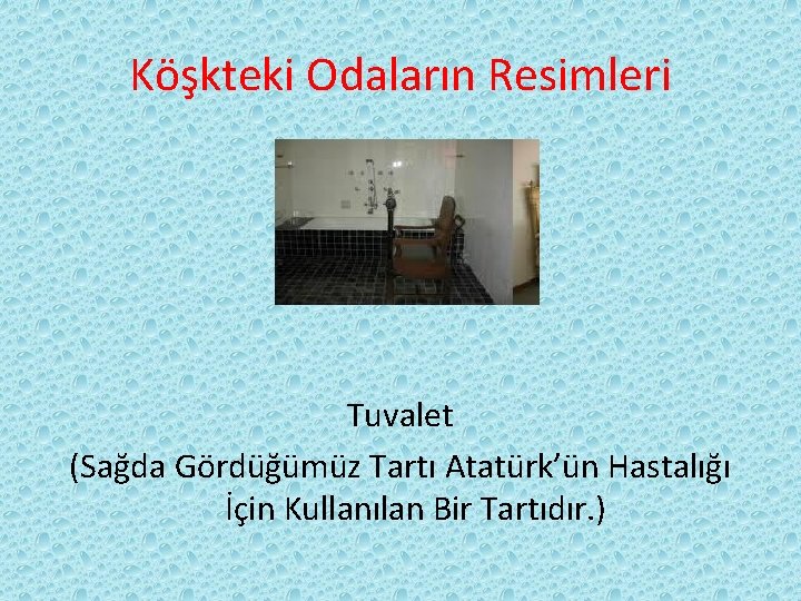Köşkteki Odaların Resimleri Tuvalet (Sağda Gördüğümüz Tartı Atatürk’ün Hastalığı İçin Kullanılan Bir Tartıdır. )
