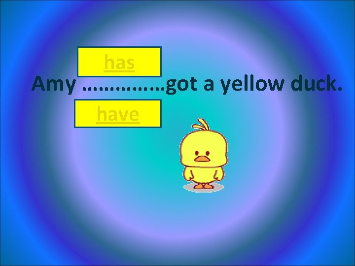 has Amy ……………got a yellow duck. have 