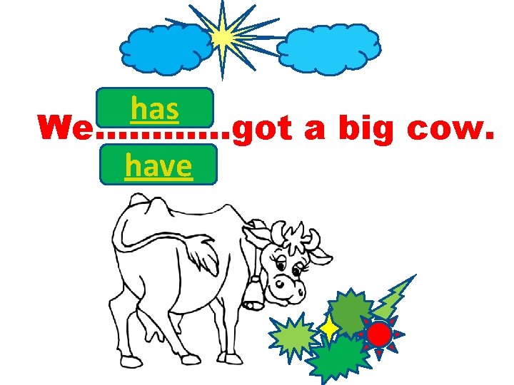 has We…………got a big cow. have 