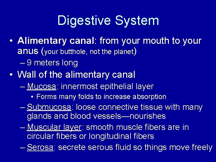 Digestive System • Alimentary canal: from your mouth to your anus (your butthole, not