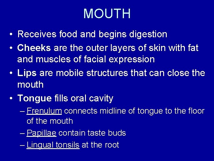 MOUTH • Receives food and begins digestion • Cheeks are the outer layers of