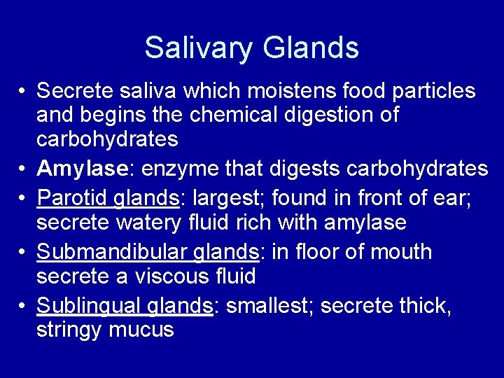 Salivary Glands • Secrete saliva which moistens food particles and begins the chemical digestion