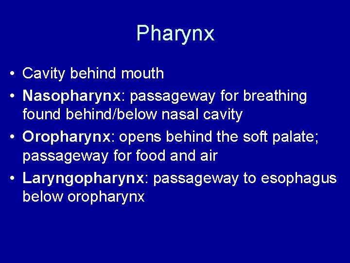 Pharynx • Cavity behind mouth • Nasopharynx: Nasopharynx passageway for breathing found behind/below nasal