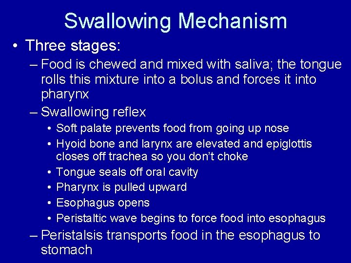 Swallowing Mechanism • Three stages: – Food is chewed and mixed with saliva; the