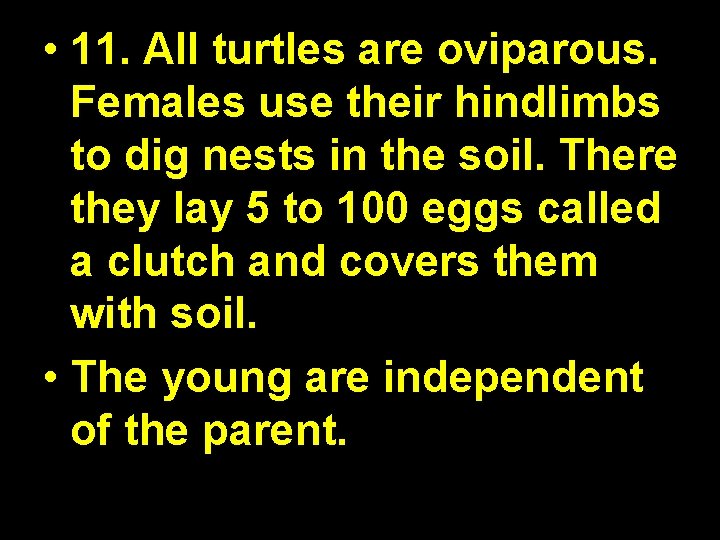  • 11. All turtles are oviparous. Females use their hindlimbs to dig nests