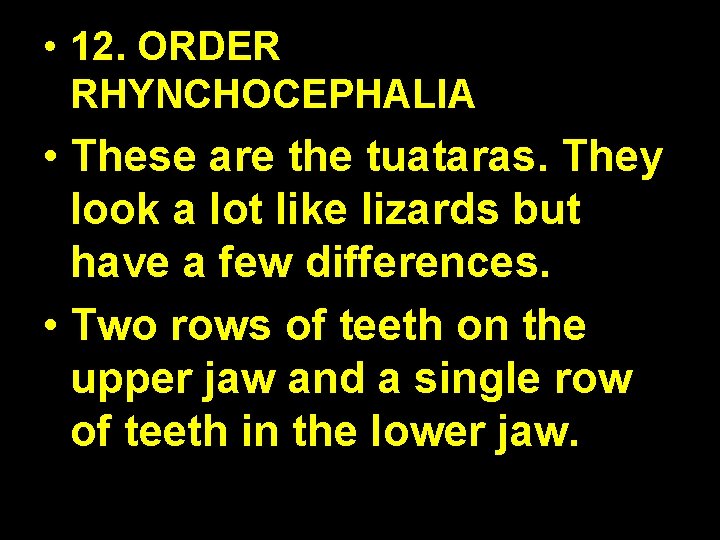 • 12. ORDER RHYNCHOCEPHALIA • These are the tuataras. They look a lot