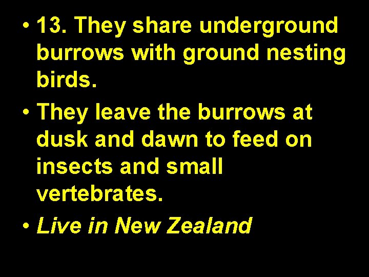  • 13. They share underground burrows with ground nesting birds. • They leave