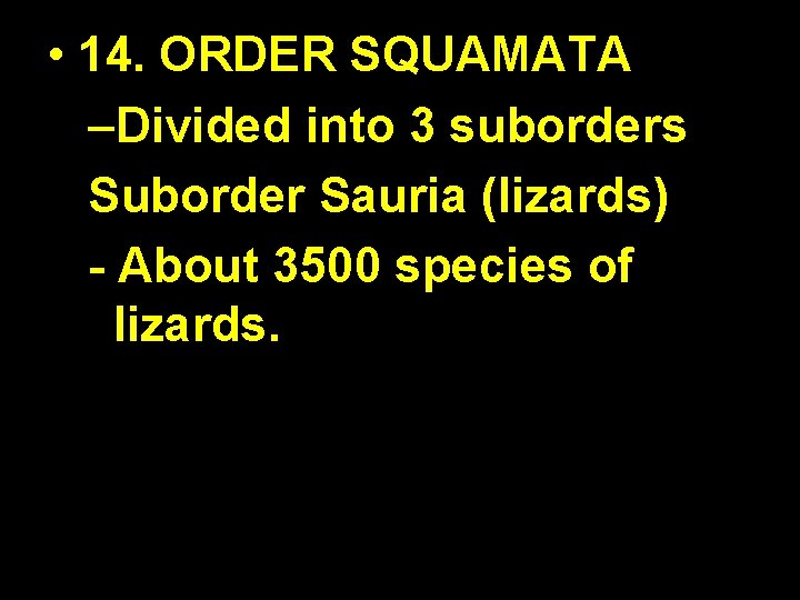  • 14. ORDER SQUAMATA –Divided into 3 suborders Suborder Sauria (lizards) - About