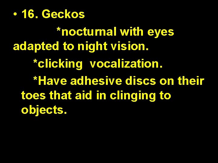 • 16. Geckos *nocturnal with eyes adapted to night vision. *clicking vocalization. *Have