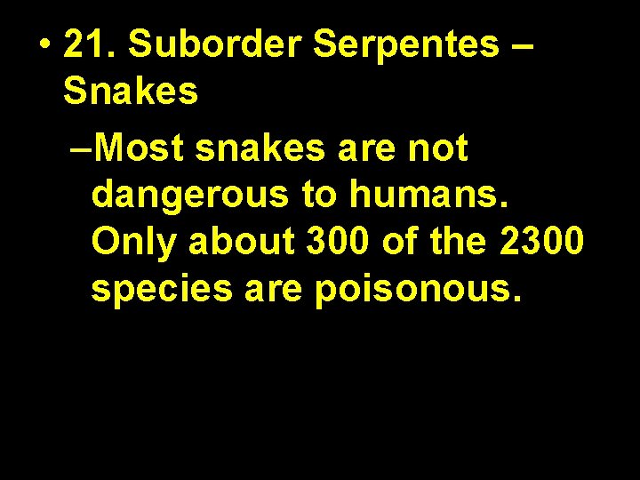  • 21. Suborder Serpentes – Snakes –Most snakes are not dangerous to humans.
