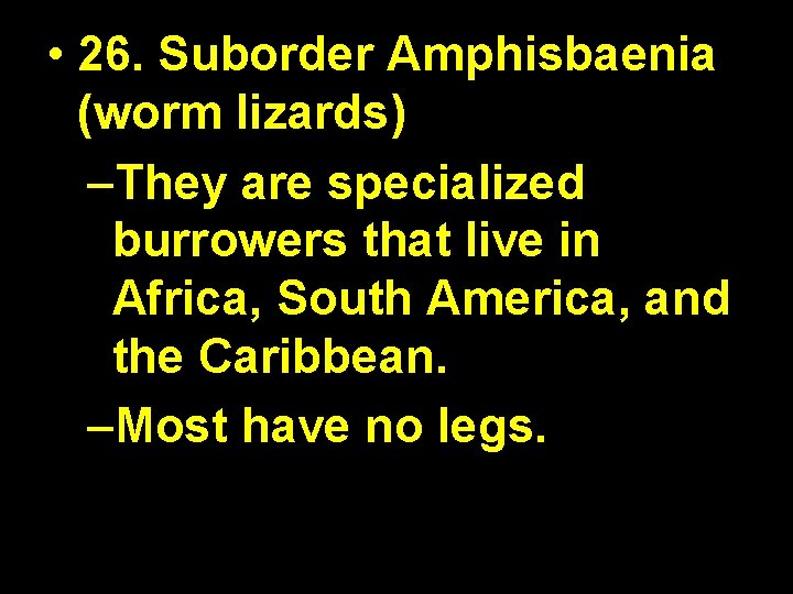  • 26. Suborder Amphisbaenia (worm lizards) –They are specialized burrowers that live in