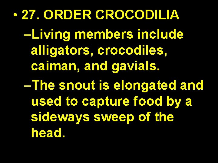  • 27. ORDER CROCODILIA –Living members include alligators, crocodiles, caiman, and gavials. –The