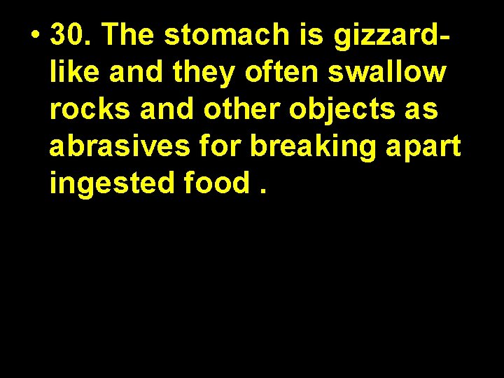 • 30. The stomach is gizzardlike and they often swallow rocks and other