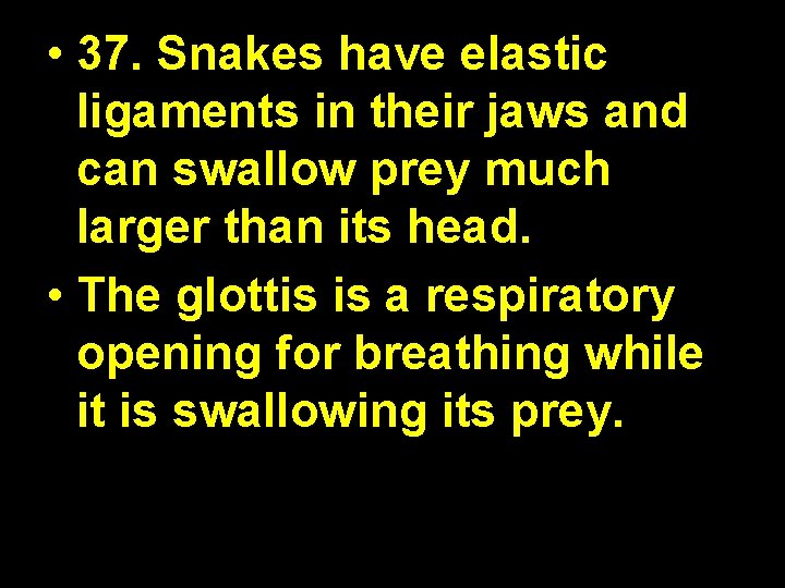  • 37. Snakes have elastic ligaments in their jaws and can swallow prey