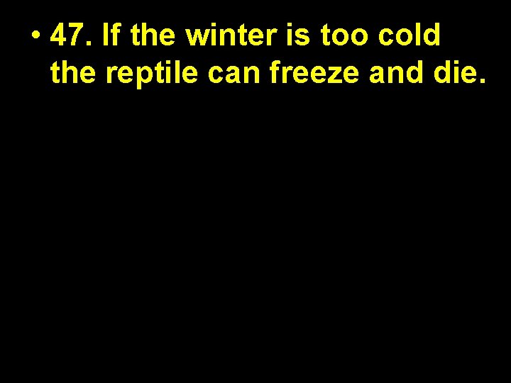 • 47. If the winter is too cold the reptile can freeze and • 47. If the winter is too cold the reptile can freeze and
