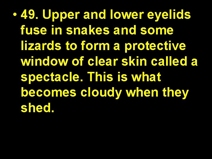  • 49. Upper and lower eyelids fuse in snakes and some lizards to