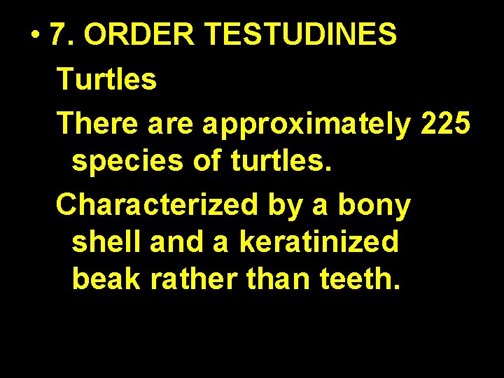  • 7. ORDER TESTUDINES Turtles There approximately 225 species of turtles. Characterized by
