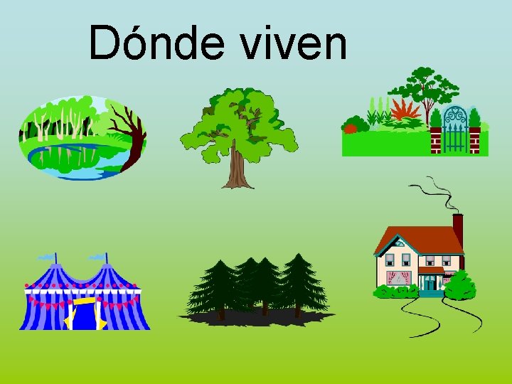 Dónde viven 