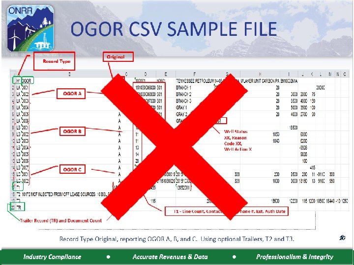 OGOR CSV SAMPLE FILE (2 of 4) 10 Industry Compliance Accurate Revenues & Data