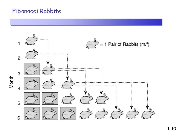 Fibonacci Rabbits 1 -10 