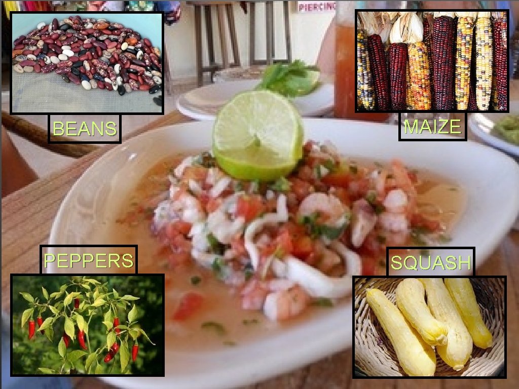 BEANS MAIZE PEPPERS SQUASH BEANS MAIZE PEPPERS SQUASH