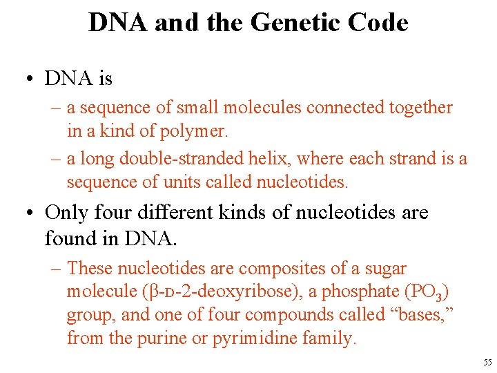 DNA and the Genetic Code • DNA is – a sequence of small molecules