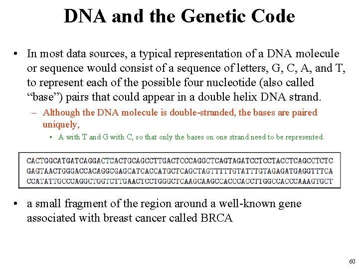 DNA and the Genetic Code • In most data sources, a typical representation of DNA and the Genetic Code • In most data sources, a typical representation of