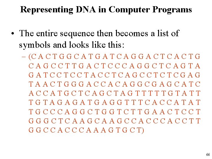 Representing DNA in Computer Programs • The entire sequence then becomes a list of
