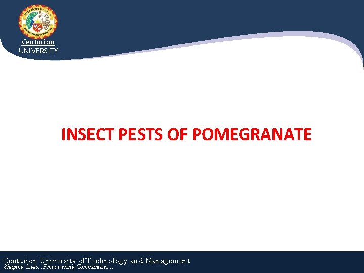 Centurion UNIVERSITY INSECT PESTS OF POMEGRANATE Centurion University of Technology and Management Shaping Lives.