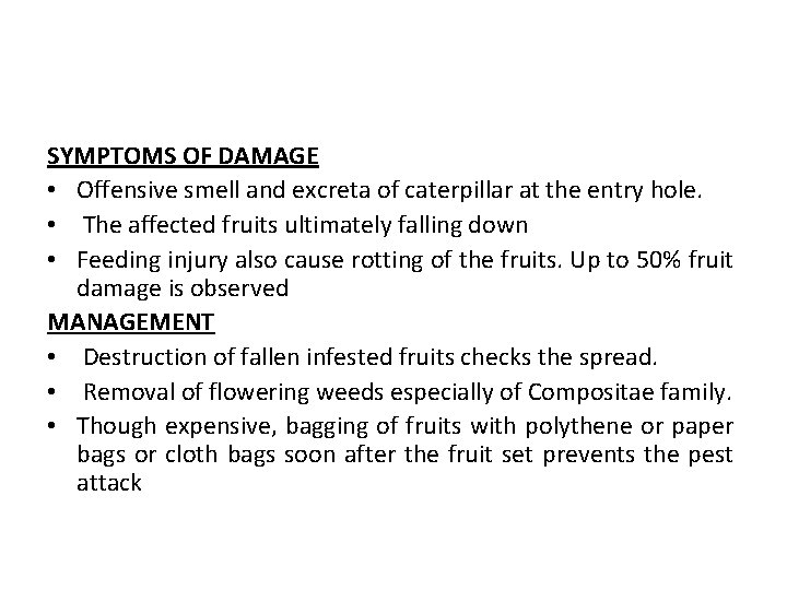 SYMPTOMS OF DAMAGE • Offensive smell and excreta of caterpillar at the entry hole.