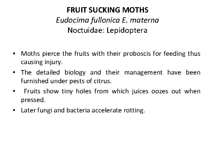 FRUIT SUCKING MOTHS Eudocima fullonica E. materna Noctuidae: Lepidoptera • Moths pierce the fruits