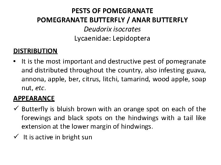 PESTS OF POMEGRANATE BUTTERFLY / ANAR BUTTERFLY Deudorix isocrates Lycaenidae: Lepidoptera DISTRIBUTION • It