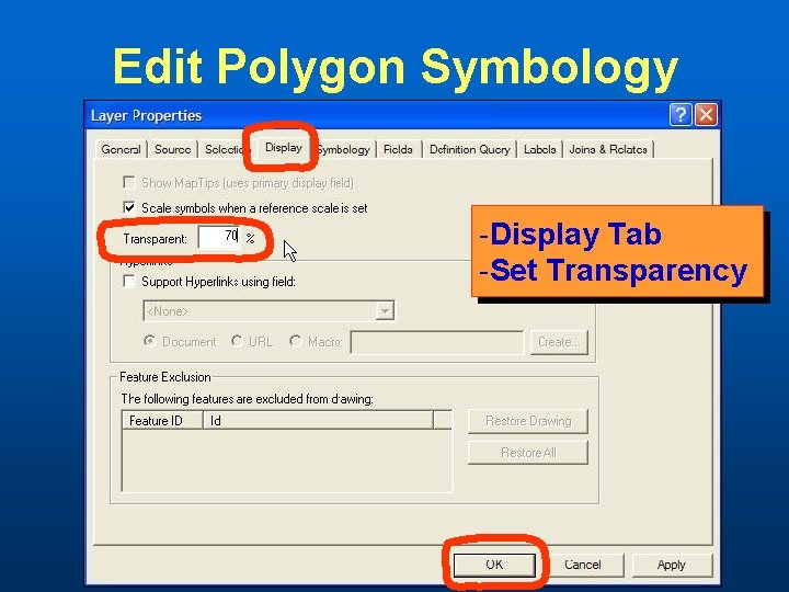 Edit Polygon Symbology -Display Tab -Set Transparency 