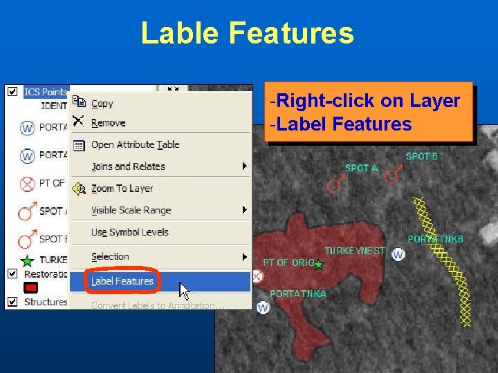 Lable Features -Right-click on Layer -Label Features 