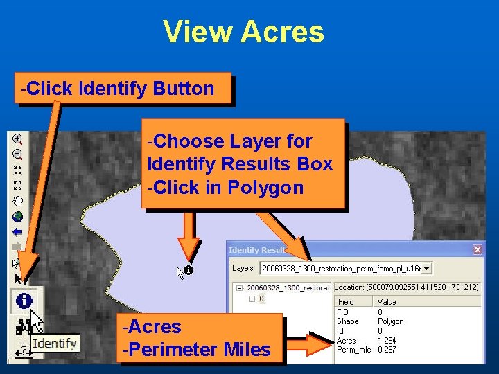 View Acres -Click Identify Button -Choose Layer for Identify Results Box -Click in Polygon