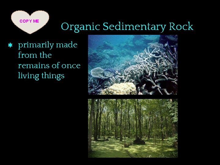 COPY ME ✱ Organic Sedimentary Rock primarily made from the remains of once living