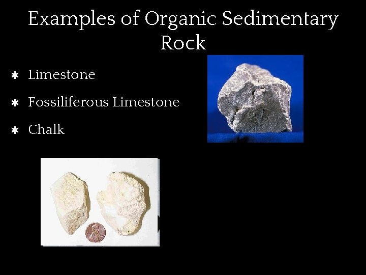 Examples of Organic Sedimentary Rock ✱ Limestone ✱ Fossiliferous Limestone ✱ Chalk 