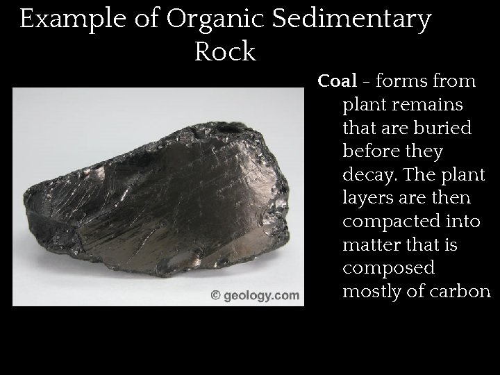 Example of Organic Sedimentary Rock Coal - forms from plant remains that are buried