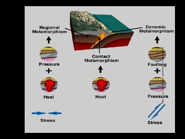 http: //www. indiana. edu/~g 103/G 103/wk 5/week 5. htm 