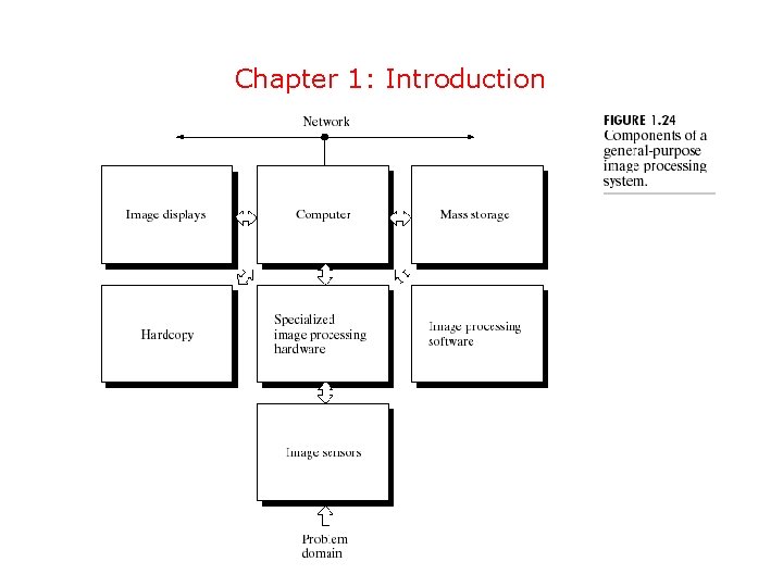 Chapter 1: Introduction 