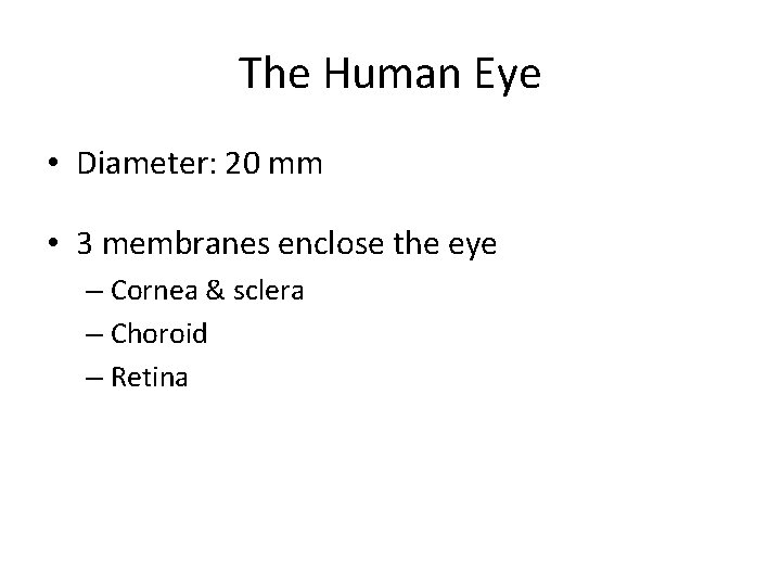 The Human Eye • Diameter: 20 mm • 3 membranes enclose the eye –
