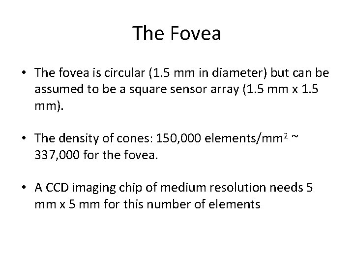 The Fovea • The fovea is circular (1. 5 mm in diameter) but can